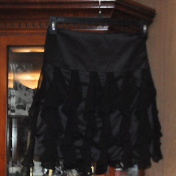 2/$10 The Limited Skirt with Ruffles MUST BUNDLE - Picture 3 of 4